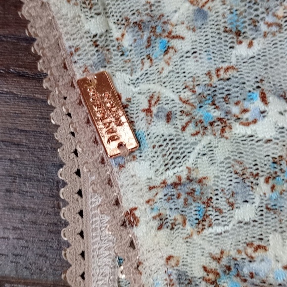 NWT Daydream Nation Wilshire Panty in Floral Mesh Lace Size Medium - Picture 4 of 8